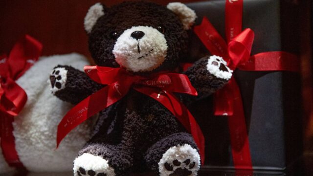 a teddy bear with a red ribbon around its neck